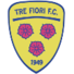特费奥里